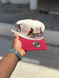St. Louis Cardinals 2006 World Series Champions
