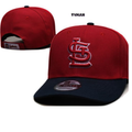 New Era St. Louis Cardinals "Core Cardinal" 9TWENTY Strapback